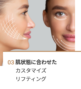 Skin Customization Through Design Keeping Lifting Equipment