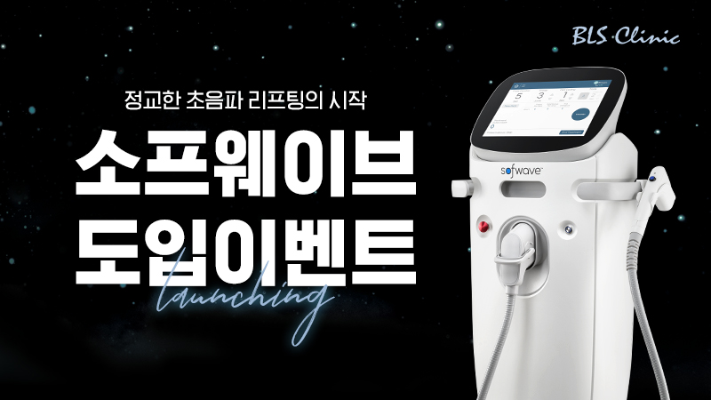 소프웨이브 도입 이벤트