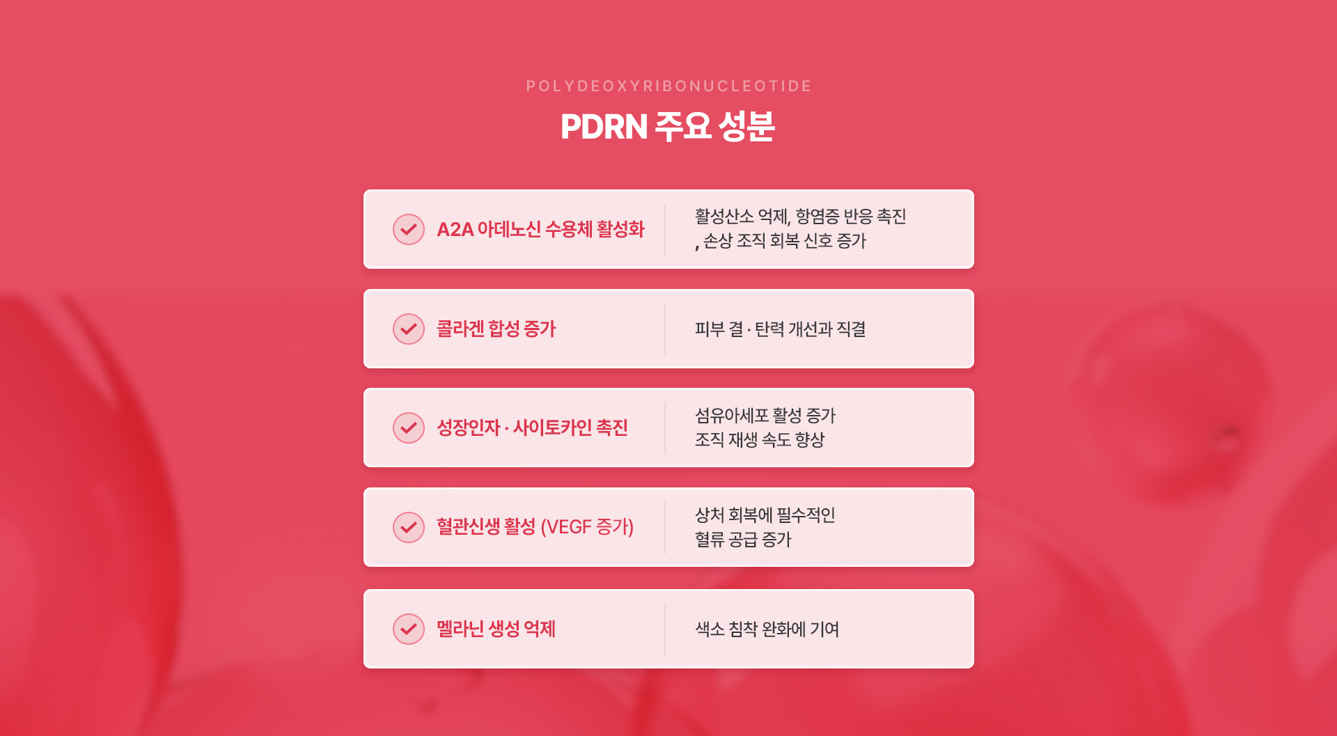 pc_07.jpg