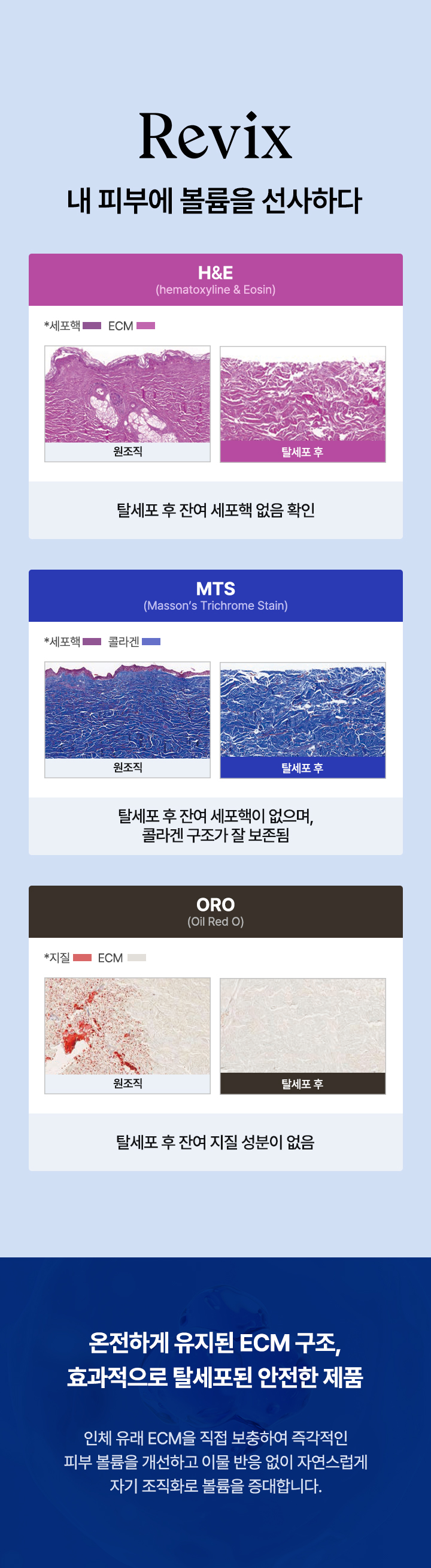 mo_05.jpg