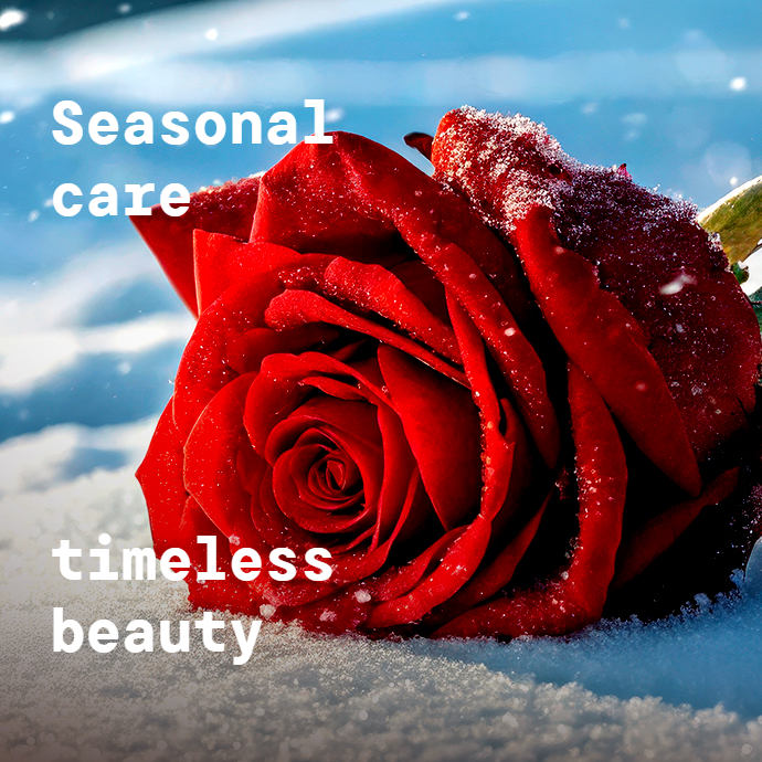 겨울의 끝자락, 혜택은 지금!