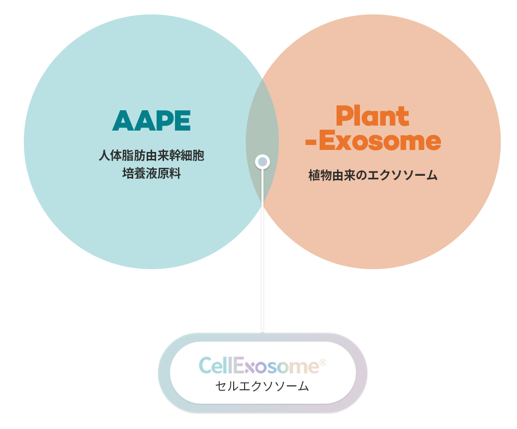 aape 인체지방유래 줄기세포 배양액 원료, plant-exosome 식물유래 엑소좀, cellexosome 셀 엑소좀