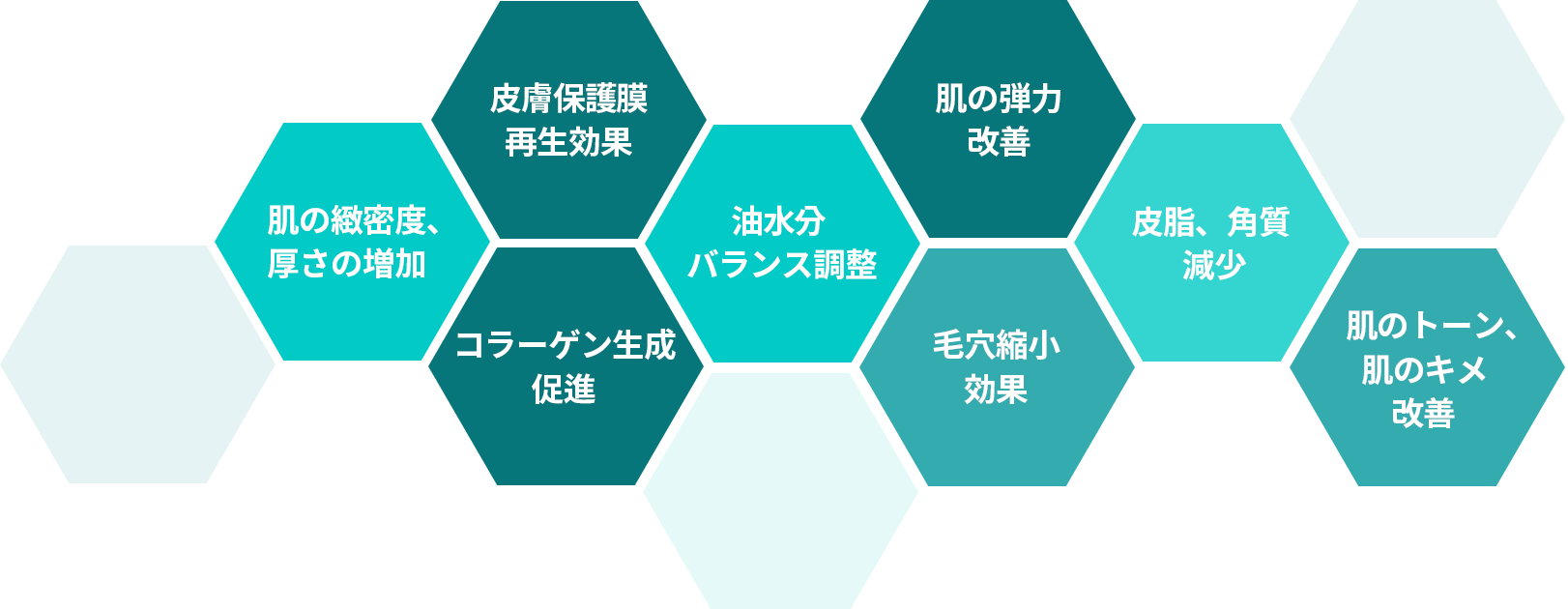 피부 보호막 재생 효과, 피부 탄력 개선, 피부 치밀도 두께 증가, 유수분 밸런스 조정, 피지,각질 감소, 콜라겐 생성 촉진, 모공 축소 효과, 피부톡,피부결 개선