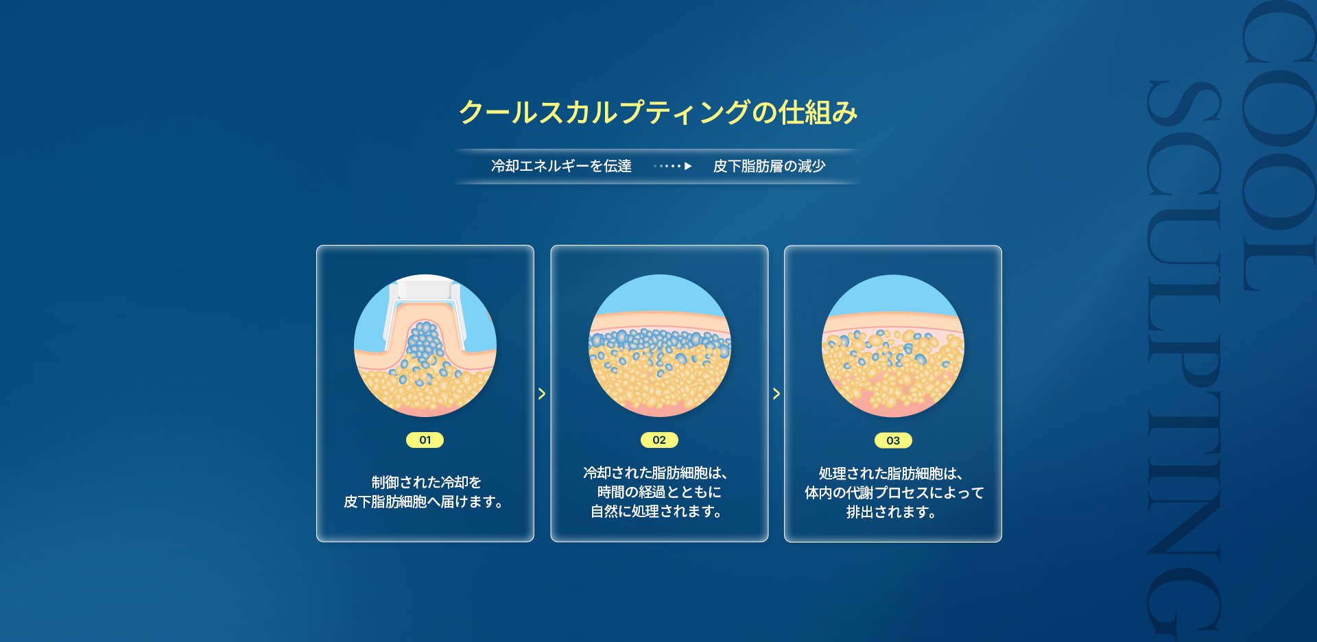zeltiqCoolsculpting